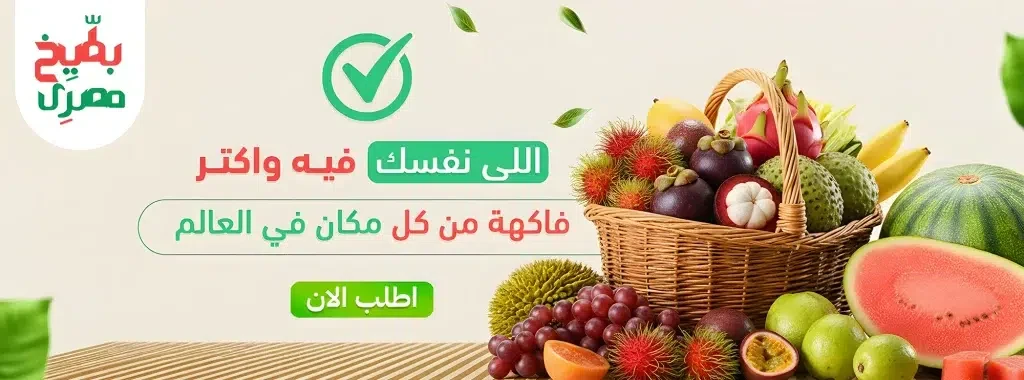 Frushqa Store promo